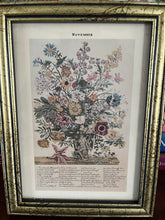 “November” Botanical Print By R. Furber 6” x 8”